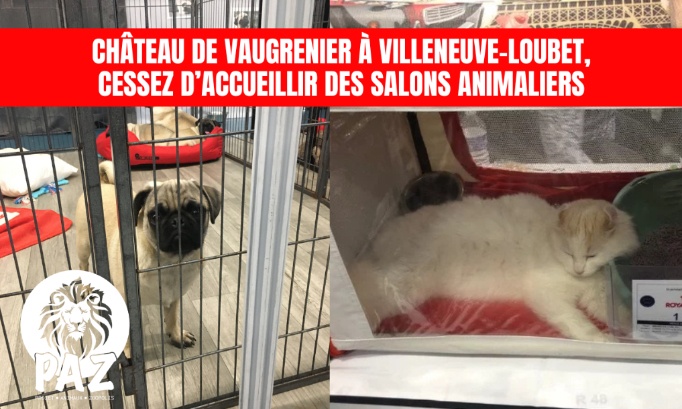 Ch&acirc;teau de Vaugrenier &agrave; Villeneuve-Loubet : stop au salon du chiot et du chaton