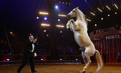 Non à la venue d'un cirque exploitant des animaux sur la commune de Loison-sous-Lens