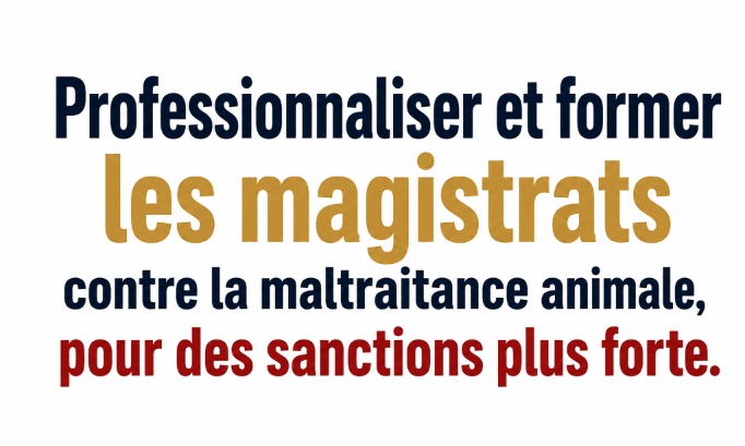 Professionnaliser et former les magistrats contre la maltraitance animale,