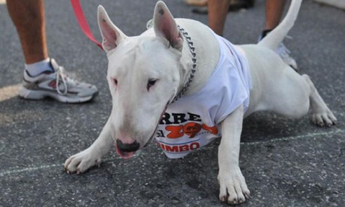 Stop aux catégories et aux préjugés sur nos amours !