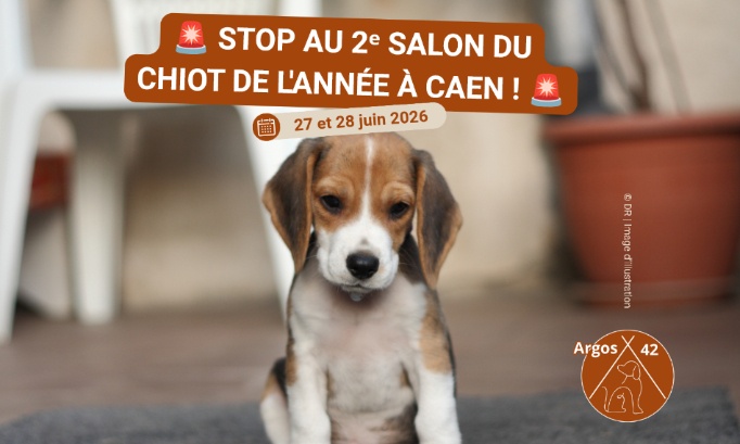 Stop au 2ᵉ salon du chiot de l'année 2026 à Caen !