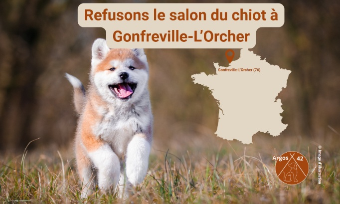 Refusons le salon du chiot &agrave; Gonfreville-L'Orcher