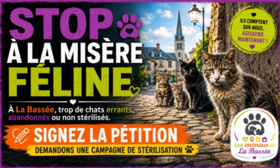 Stop &agrave; la mis&egrave;re f&eacute;line &agrave; La Bass&eacute;e : demandons une campagne de st&eacute;rilisation