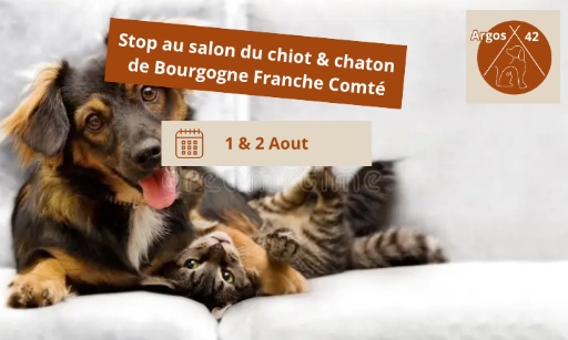 Stop au Salon du chiot et du chaton &agrave; Bourgogne-Franche-Comte