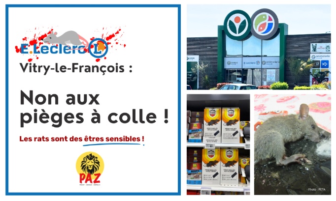 Non aux pi&egrave;ges &agrave; colle au E.Leclerc Vitry-le-Fran&ccedil;ois