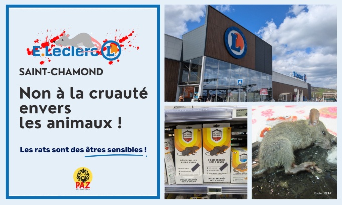 Non à la cruauté au magasin E.Leclerc Saint-Chamond