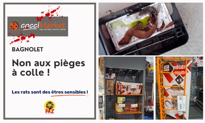 Coccimarket Bagnolet : non &agrave; la cruaut&eacute; !