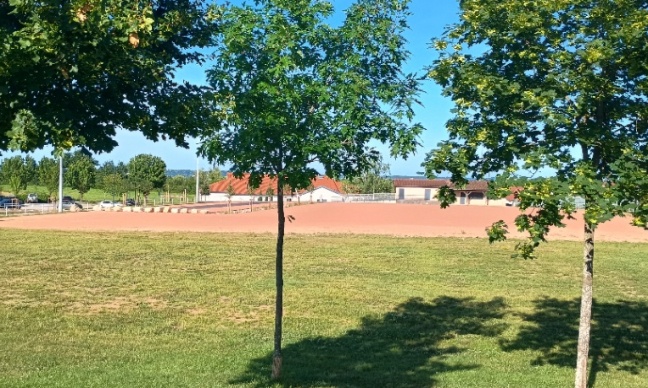 Urgence sécurité à Lucenay : Stop au stationnement anarchique et dangereux chemin du Parc