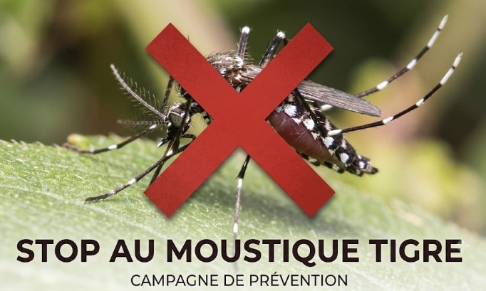 Pour un plan d’action d’urgence contre l’infestation des moustiques tigres !