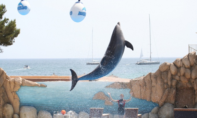 Interdisez l&rsquo;arriv&eacute;e des dauphins de Marineland au ZooParc de Beauval