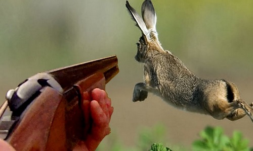 Pour que nos libres loisirs chasse et pêche durent toujours !