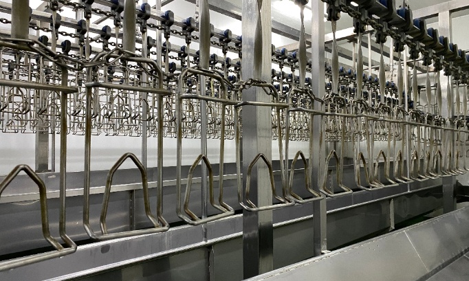 Fermeture de l'abattoir de ATH pour maltraitance !
