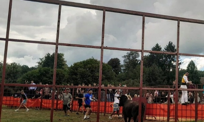 Non à l'implantation de la Tauromachie en Haute-Saone
