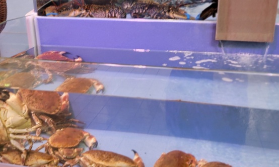 Stop à la vente de homards à Leclerc Falaise (14)