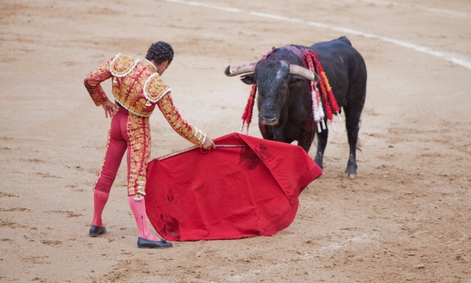 Vauvert (Gard 30) une corrida apr&egrave;s 9 ans d'arr&ecirc;t !