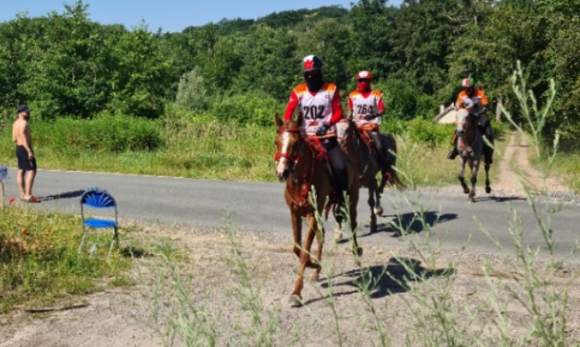 Stop aux courses d'endurance &eacute;questre &agrave; Compi&egrave;gne : prot&eacute;gez les chevaux