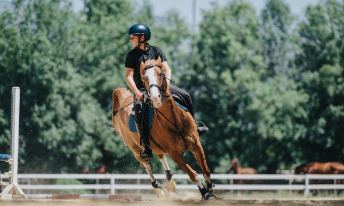 Droit à la photographie aux championnats de France