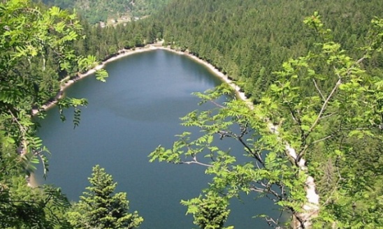 Pétition contre la fermeture de la route d'accès au lac des corbeaux à la bresse