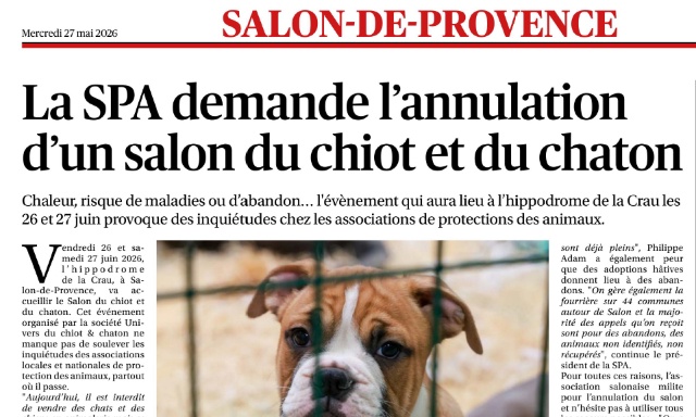 P&eacute;tition &mdash; contre le salon du chiot et du chaton des 27 et 28 juin 2026 &agrave; l'hippodrome