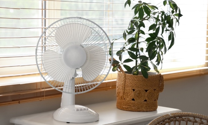Semaine de canicule à l'école