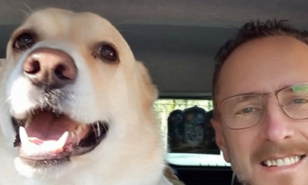 Stop &agrave; l'euthanasie de mon chien : exigez une enqu&ecirc;te impartiale
