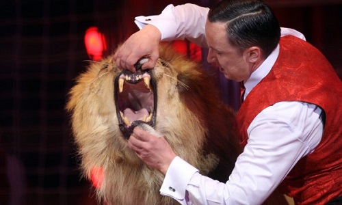 Non aux cirques avec des animaux esclaves