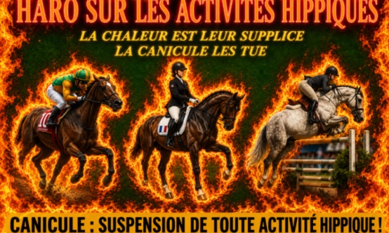 Demandons aux ministres et aux pr&eacute;fets d'interdire toute activit&eacute; hippique jusqu'&agrave; mi-septembre
