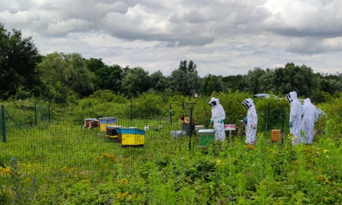 Sauvons le rucher de Méry-sur-Oise et préservons un site remarquable pour la biodiversité.