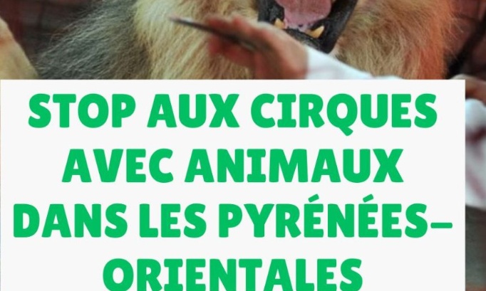 Stop aux cirques avec animaux dans les Pyr&eacute;n&eacute;es-Orientales