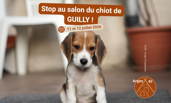 Stop au salon du chiot de GUILLY !