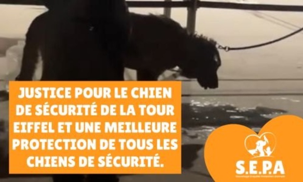 Justice pour le chien de s&eacute;curit&eacute; de Paris et protection de tous les chiens de s&eacute;curit&eacute;
