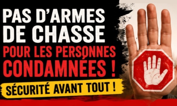 Pas d'armes de chasse pour les condamnées pour alcool ou stupéfiants