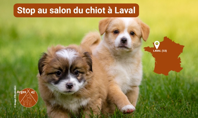 Stop au salon du chiot &agrave; Laval