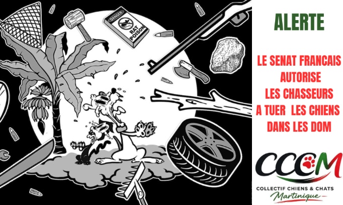 Contre la loi vot&eacute;e au S&eacute;nat autorisant les chasseurs des territoires d&rsquo;outre-mer &agrave; tuer les chiens errants