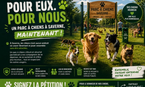 Pour la création d'un parc à chiens clôturé et sécurisé à Saverne