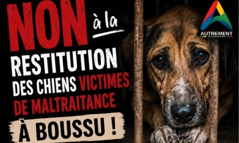 Non à la restitution des chiens victimes de maltraitance à leurs propriétaires