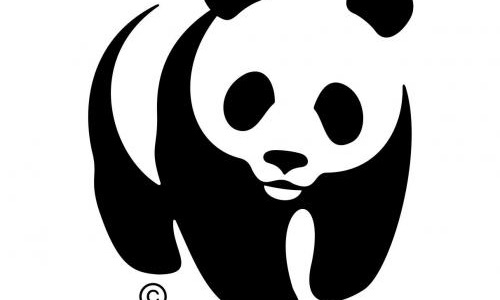 Soutenons l'association WWF, elle sauve des milliers d'animaux chaque jour