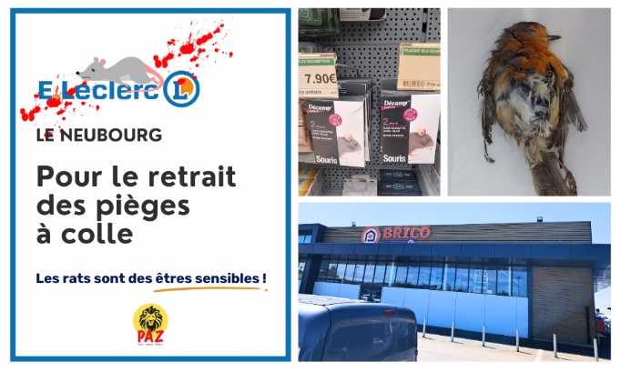 Stop aux pièges à colle au E.Leclerc Le Neubourg (27)
