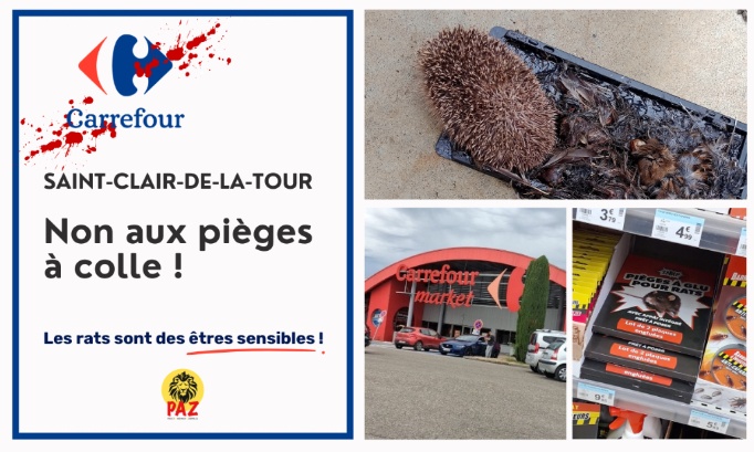 Carrefour Market Saint-Clair-de-la-Tour : non aux pièges à colle