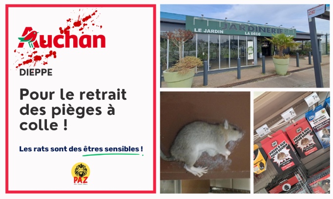 Stop &agrave; la cruaut&eacute; animale &agrave; la Jardinerie d&rsquo;Auchan Dieppe