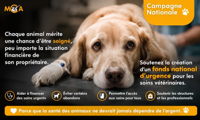 Création d'un fonds national d'urgence pour les soins vétérinaires