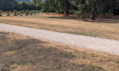 Pour une gestion plus durable des espaces verts à Besançon