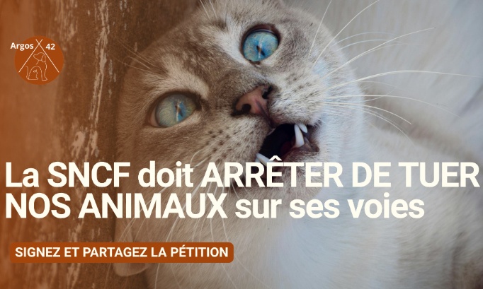 LA SNCF DOIT ARRÊTER DE TUER NOS ANIMAUX SUR SES VOIES