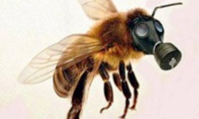 Interdisons les pesticides dans les parcs publics pour prot&eacute;ger les abeilles