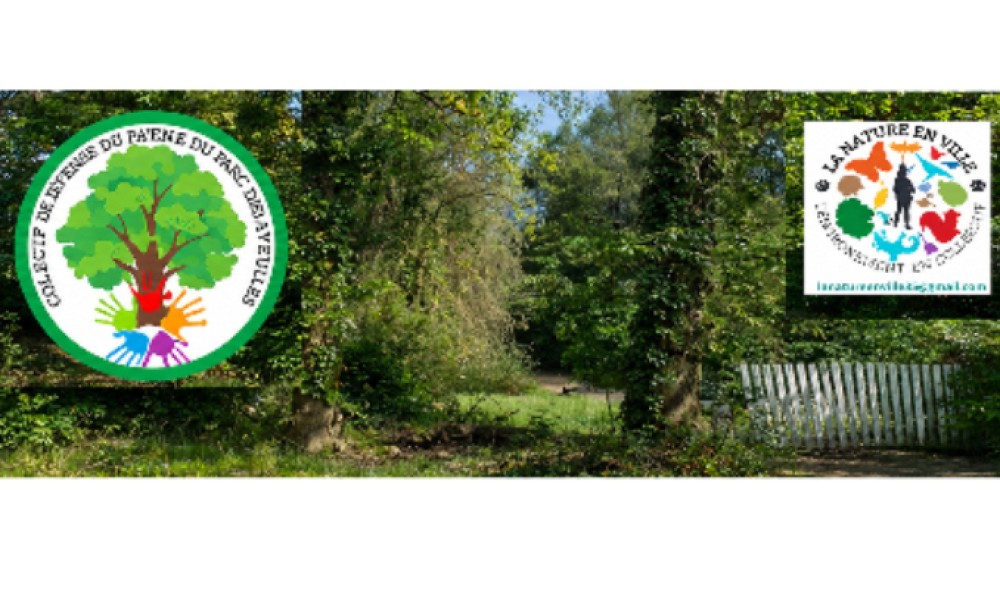 Les espaces bois&eacute;s aux abords du parc des Gayeulles &agrave; Rennes sont menac&eacute;s par un pr&eacute;-projet immobilier