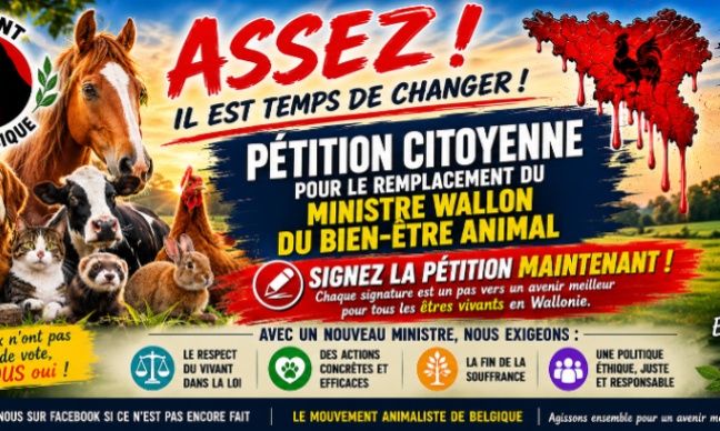 Pour le remplacement d’Adrien Dolimont comme Ministre wallon du Bien-être animal