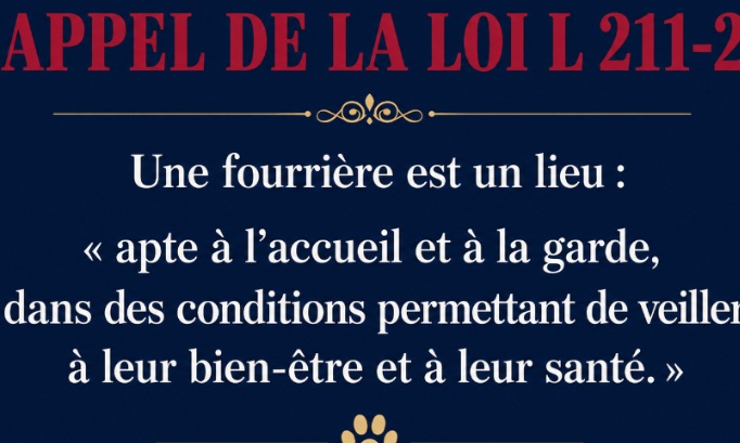 Pour que le Conseil d'Etat invalide la d&eacute;tention prolong&eacute;e en fourri&egrave;re de Curtis