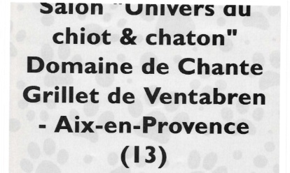 Ventabren : stop au salon du chiot et du chaton des 22 et 23 ao&ucirc;t