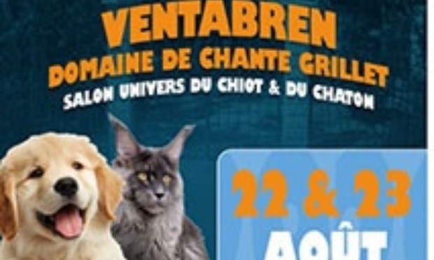 Demandons au sous-préfet d'annuler le salon du chiot et du chaton