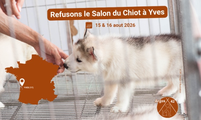 Stop au salon du chiot d'Yves